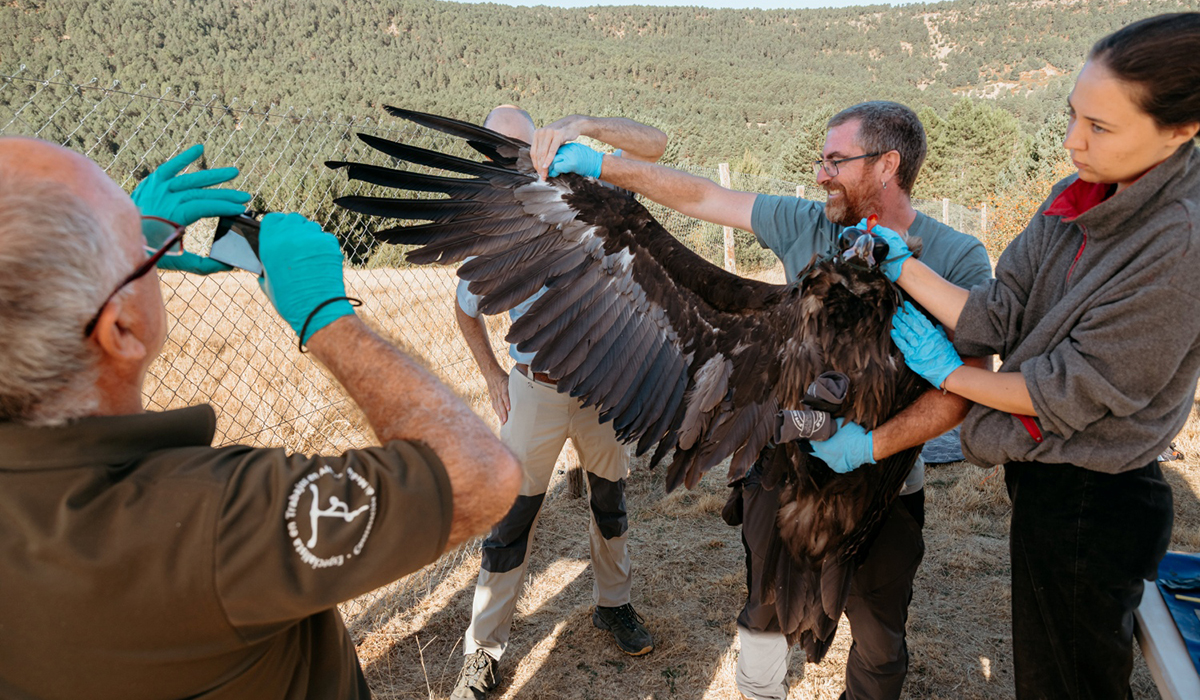 El World Rewilding Day celebra la renaturalización como un motor de futuro para la naturaleza y para las personas