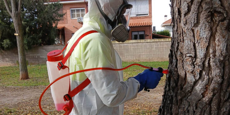 En Cabanillas sí saben cómo tratar la procesionaria