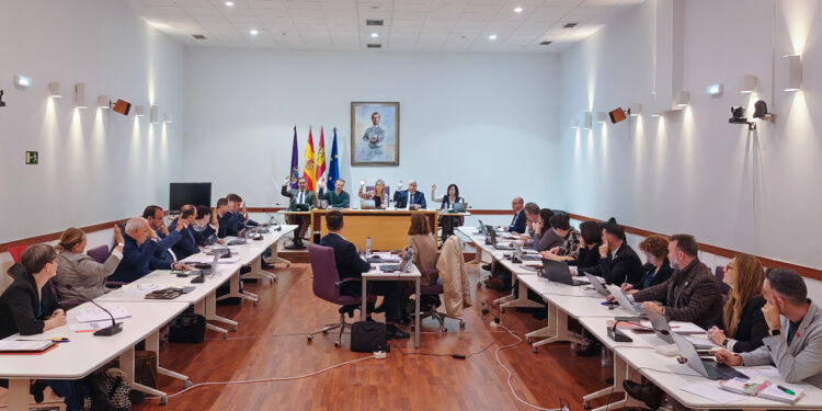 Guadalajara alcanza los 94.176 habitantes, lo que supone un incremento de 706 personas respecto al año anterior