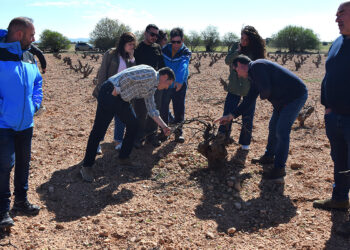 La Diputación de Cuenca adelantará el 75% de la ayuda para el control de la población de conejos a la que se destinan 500.000 euros