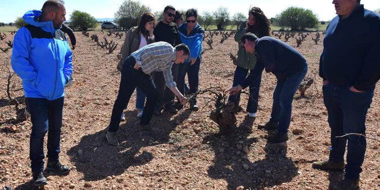 La Diputación de Cuenca adelantará el 75% de la ayuda para el control de la población de conejos a la que se destinan 500.000 euros