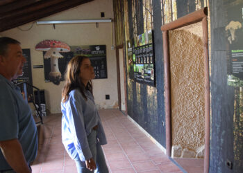La Diputación de Cuenca impulsa la actividad de los museos de titularidad municipal con una línea de ayudas de 60.000 euros