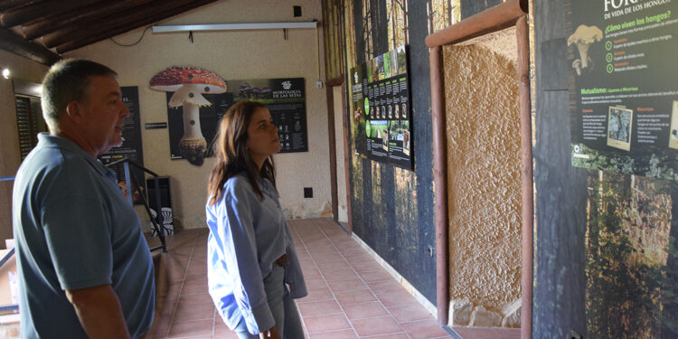 La Diputación de Cuenca impulsa la actividad de los museos de titularidad municipal con una línea de ayudas de 60.000 euros