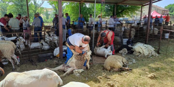 La Diputación de Guadalajara convoca ayudas para organizar ferias tradicionales que den visibilidad al sector primario