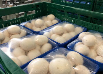 La Junta impulsa la integración comercial de las industrias agroalimentarias y cooperativas con un millón de euros en ayudas para las Agrupaciones de Productores