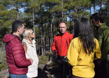 La Junta invierte nueve millones de euros en tratamientos silvícolas para prevenir incendios forestales en la provincia para Cuenca