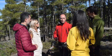 La Junta invierte nueve millones de euros en tratamientos silvícolas para prevenir incendios forestales en la provincia para Cuenca