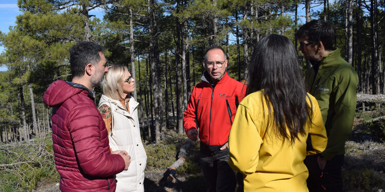 La Junta invierte nueve millones de euros en tratamientos silvícolas para prevenir incendios forestales en la provincia para Cuenca 1 La Junta invierte nueve millones de euros en tratamientos silvícolas para prevenir incendios forestales en la provincia para Cuenca