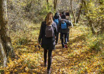 La Junta pone en marcha tres rutas interpretadas en Guadalajara con motivo de la celebración del Día Internacional de los Bosques