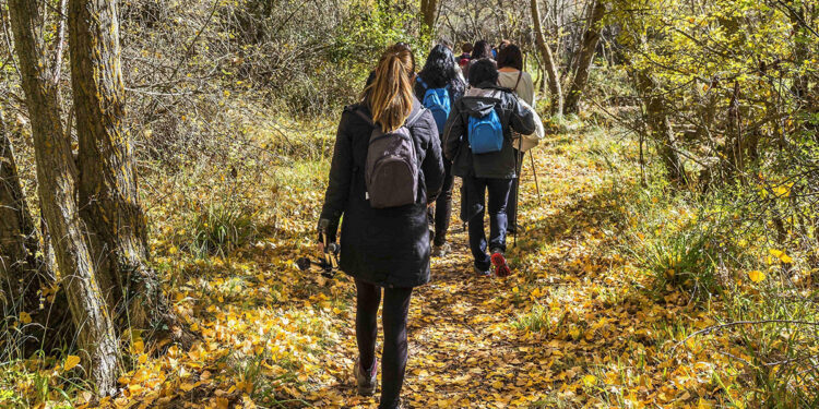 La Junta pone en marcha tres rutas interpretadas en Guadalajara con motivo de la celebración del Día Internacional de los Bosques