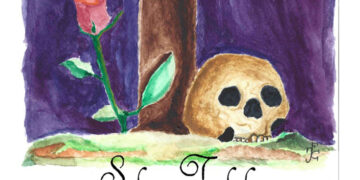 La Vera Cruz celebra este domingo 22 de marzo el Solemne Traslado de su Titular de San Pedro a la Catedral