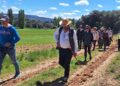 La XV edición de la Ruta de la Lana de Albendea ya tiene recorrido