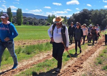La XV edición de la Ruta de la Lana de Albendea ya tiene recorrido