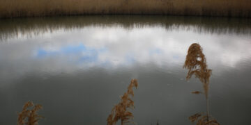Laguna de Mohorte