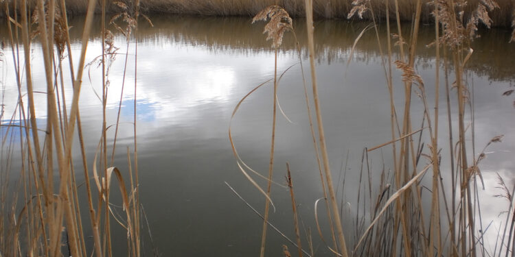 Los tribunales investigan el plan de Los Palancares en Cuenca ante la amenaza a la reserva del río Moscas