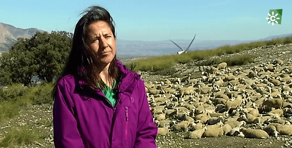 María del Carmen García Moreno