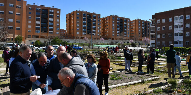 Nuevos adjudicatarios de los 36 huertos sociales de Villa Román Cuenca proyecta su expansión a Cañadillas