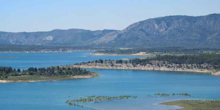 Rescatados ilesos tras volcar su barca junto al camping de Buendía 1 Rescatados ilesos tras volcar su barca junto al camping de Buendia