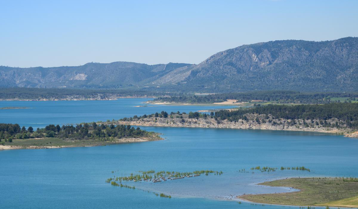 Rescatados ilesos tras volcar su barca junto al camping de Buendía 2 Rescatados ilesos tras volcar su barca junto al camping de Buendia