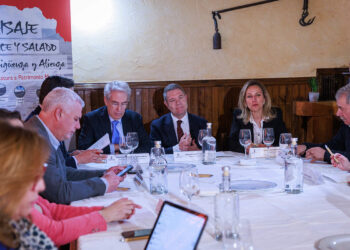 Sigüenza acogerá el próximo mes de abril la reunión del Consejo Nacional de Patrimonio Histórico