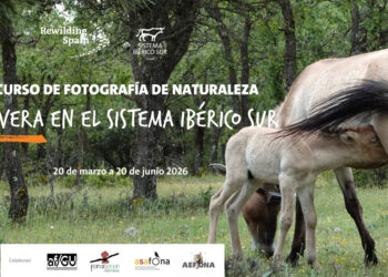 Abierta la participación en el Concurso de Fotografía de Naturaleza ‘Primavera en el Sistema Ibérico Sur’