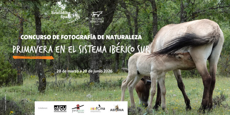 Abierta la participación en el Concurso de Fotografía de Naturaleza ‘Primavera en el Sistema Ibérico Sur’ 1 Abierta la participación en el Concurso de Fotografía de Naturaleza ‘Primavera en el Sistema Ibérico Sur’