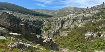 Aprobado el Plan Director de la Red Natura 2000 para reforzar la conservación de su patrimonio natural