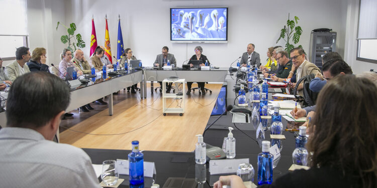 Constituida la Mesa Regional del Conejo de Monte para coordinar la lucha contra la sobrepoblación de la especie en el territorio