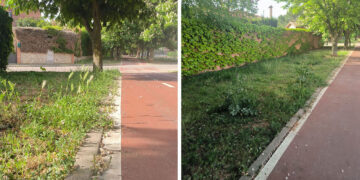 El Ayuntamiento de Cabanillas apremia a la empresa de limpieza viaria, para que elimine cuanto antes las malas hierbas de la vía pública