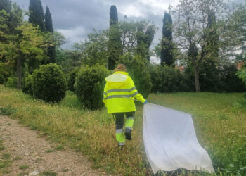 El Ayuntamiento de Cabanillas intensifica los tratamientos contra las garrapatas de esta temporada
