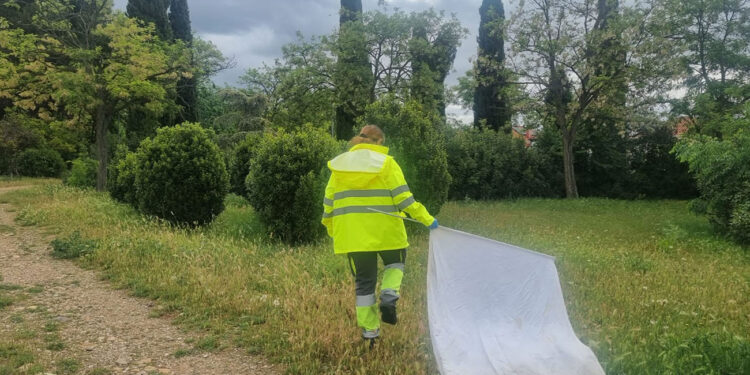 El Ayuntamiento de Cabanillas intensifica los tratamientos contra las garrapatas de esta temporada
