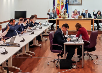 El Ayuntamiento de Guadalajara aprueba exigir al Ministerio soluciones urgentes para el caos ferroviario tras casi dos años sin respuesta