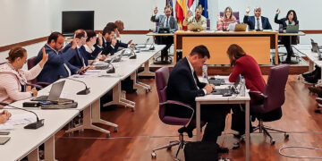 El Ayuntamiento de Guadalajara aprueba exigir al Ministerio soluciones urgentes para el caos ferroviario tras casi dos años sin respuesta
