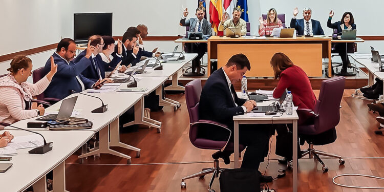 El Ayuntamiento de Guadalajara aprueba exigir al Ministerio soluciones urgentes para el caos ferroviario tras casi dos años sin respuesta