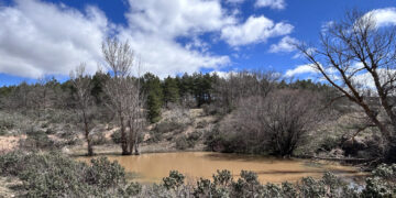 El Club Birracicletos organiza una jornada de limpieza del monte de Setiles esta Semana Santa