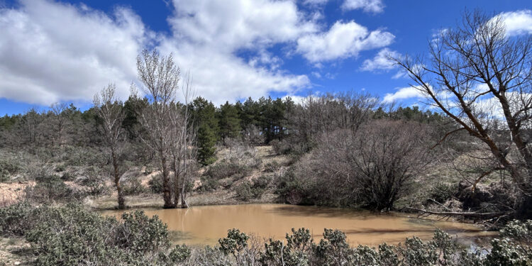 El Club Birracicletos organiza una jornada de limpieza del monte de Setiles esta Semana Santa