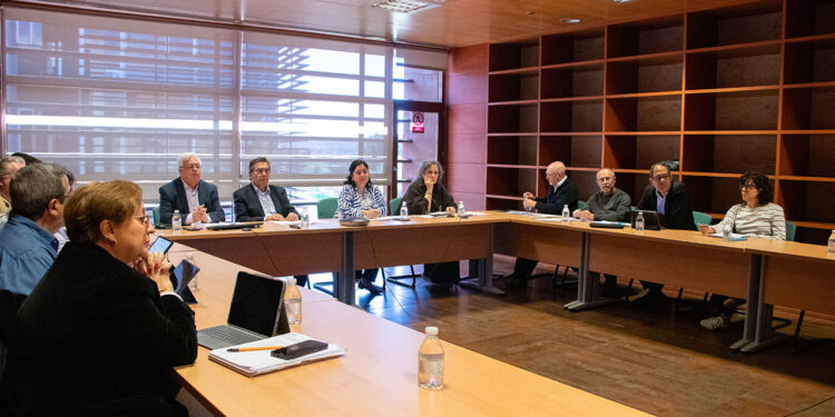 El Consejo Regional de Consumo se reúne para conocer la memoria regional de actividades desarrolladas en 2025 y aprobar dos proyectos de decreto 1 El Consejo Regional de Consumo se reúne para conocer la memoria regional de actividades desarrolladas en 2025 y aprobar dos proyectos de decreto