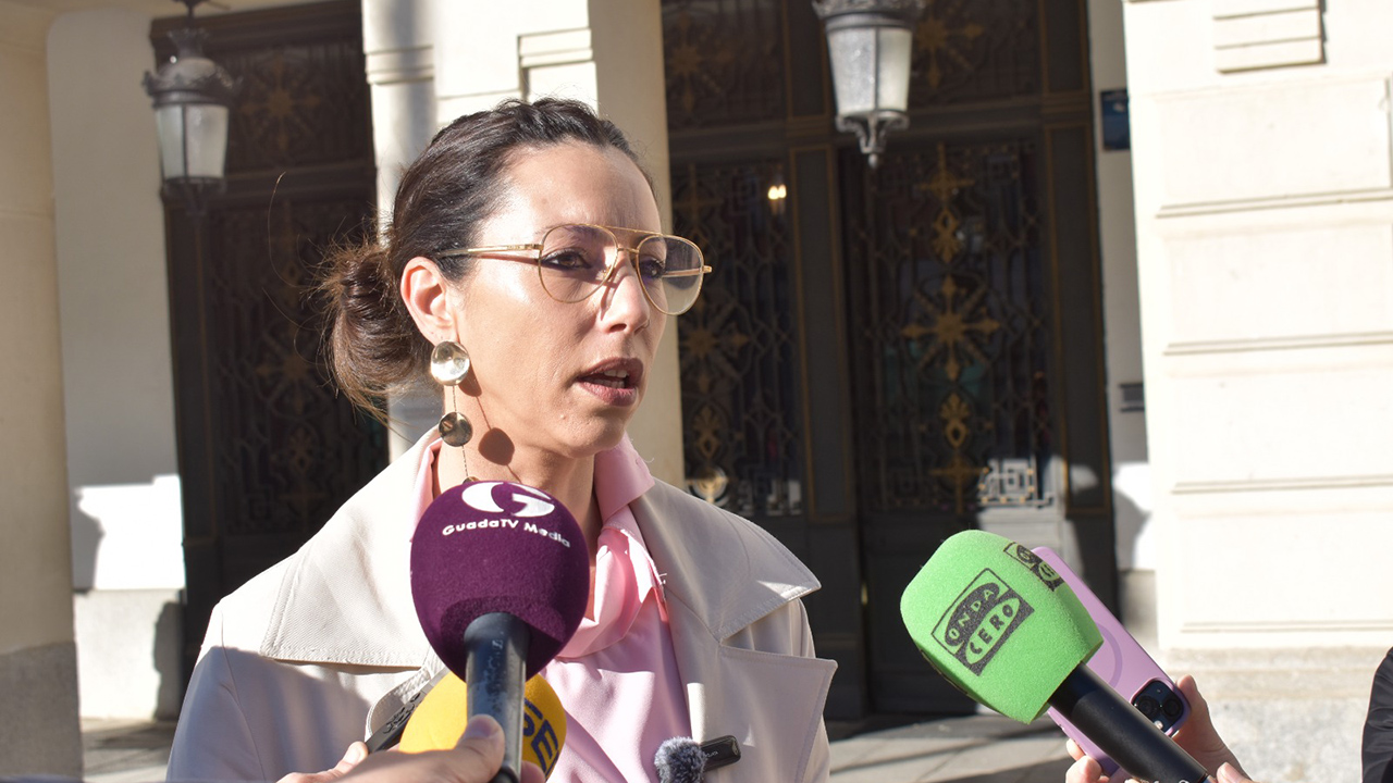 El PSOE denuncia que Guarinos recorta casi un millón de euros más de las partidas de centros escolares e instalaciones deportivas para llevárselo a Festejos 2 El PSOE denuncia que Guarinos recorta casi un millón de euros más de las partidas de centros escolares e instalaciones deportivas para llevárselo a Festejos