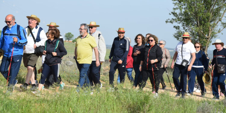 El servicio de ‘Tu comida en casa’ de la Diputación de Cuenca ha repartido en el primer trimestre del año un total de 1.523 comidas a 59 usuarios en 25 localidades de la zona de Tarancón permitiendo una mayor calidad de vida, seguridad y cuidado para los mayores a unos precios muy económicos. El presidente de la Diputación de Cuenca, Álvaro Martínez Chana, destacaba que este servicio que puso en marcha la Diputación con fondos europeos, y que este año se financia por primera vez con fondos propios, nacía de la escucha de las necesidades de nuestros mayores para ayudarles a mantenerse en sus entornos con una mayor calidad de vida en una apuesta que se ha consolidado y no deja de crecer. Así, ha recordado que en estos primeros tres meses del año el número de usuarios en toda la provincia ha crecido más de un 11% hasta los 343 contando con 7 nuevos municipios lo que hace que las casi 24.500 comidas hallan llegado a un total de 104 núcleos de población. Martínez Chana destacaba la necesidad de mirar a nuestros mayores como una oportunidad, ya que el concepto que se tiene hoy del envejecimiento no es el de “quedarse en casa”, sino todo lo contrario es conocer esta provincia que es extensísima, es salir y es “disfrutar de la vida”. Por esta razón ha puesto en valor el trabajo de las distintas administraciones para mejorar esta calidad de vida. Un ejemplo de esta alineación institucional era precisamente la jornada celebrada en Almonacid del Marquesado dentro del programa Rutas Senderistas para Mayores de la Junta de Comunidades de Castilla-La Mancha en la que han participado un total de 216 personas de seis centros y asociaciones de la provincia. Un encuentro al que ha asistido la delegada de Bienestar Social, Susana Zomeño; y la diputada de Servicios Sociales, Eva García. Como anfitrión de la jornada, Martínez Chana ha explicado que la ruta ‘El Arca Romana’ es un itinerario que ha permitido a los participantes disfrutar del paisaje y conocer algunos de los rincones más emblemáticos de Almonacid. “Estos mayores son un claro ejemplo de la gran generación de personas de 65 a 80 años que tenemos en la provincia que no sólo sostienen sino que dinamizan la vida social, cultural y económica de nuestros pueblos a través de las asociaciones y por ello tanto el Gobierno regional como la Diputación seguiremos apostando por ellos y brindándoles los servicios, el ocio y la cultura que se merecen”, sentenciaba Martínez Chana.