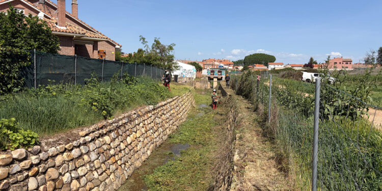 En marcha los trabajos de limpieza del Arroyo Valdelalobera a su paso por Yunquera de Henares
