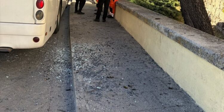 Susto en la calle Palafox de Cuenca: el autobús de una banda de música choca contra un árbol