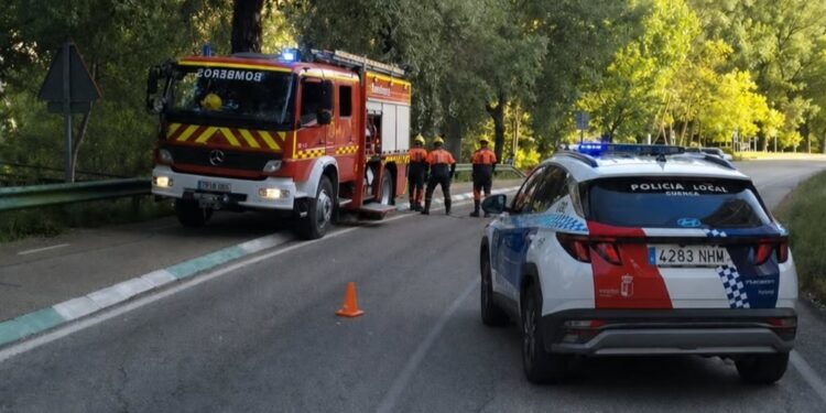Susto en la carretera de Villalba de la Sierra: Policía y Bomberos despejan una rama caída junto al Recreo Peral