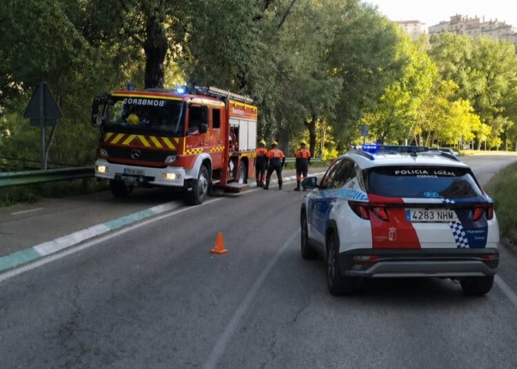 Susto en la carretera de Villalba de la Sierra: Policía y Bomberos despejan una rama caída junto al Recreo Peral