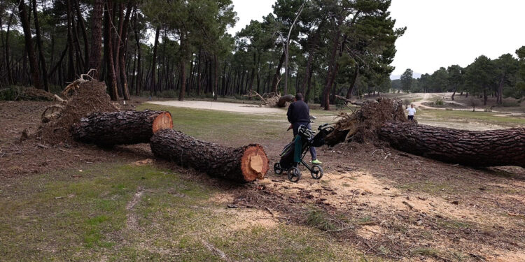 Jose Miguel Molina revoluciona la Liga de la Diputacion en un Club La Vereda que ultima su gran cita regional 1