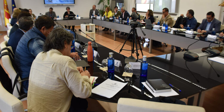 La Diputación de Cuenca es la primera de Castilla-La Mancha que ayudará a los cazadores para controlar la población de conejos