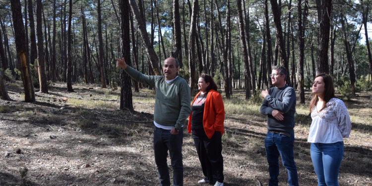 La Diputación de Cuenca invierte más de 234.000 euros para reducir el riesgo de incendios a través del PSTD del Valle del Cabriel 1 La Diputación de Cuenca invierte más de 234.000 euros para reducir el riesgo de incendios a través del PSTD del Valle del Cabriel