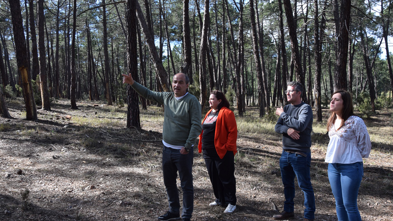 La Diputación de Cuenca invierte más de 234.000 euros para reducir el riesgo de incendios a través del PSTD del Valle del Cabriel 2 La Diputación de Cuenca invierte más de 234.000 euros para reducir el riesgo de incendios a través del PSTD del Valle del Cabriel
