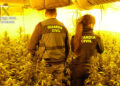 La Guardia Civil desarticula dos plantaciones de marihuana “indoor” de cultivo intensivo en Enguídanos