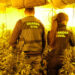 La Guardia Civil desarticula dos plantaciones de marihuana “indoor” de cultivo intensivo en Enguídanos