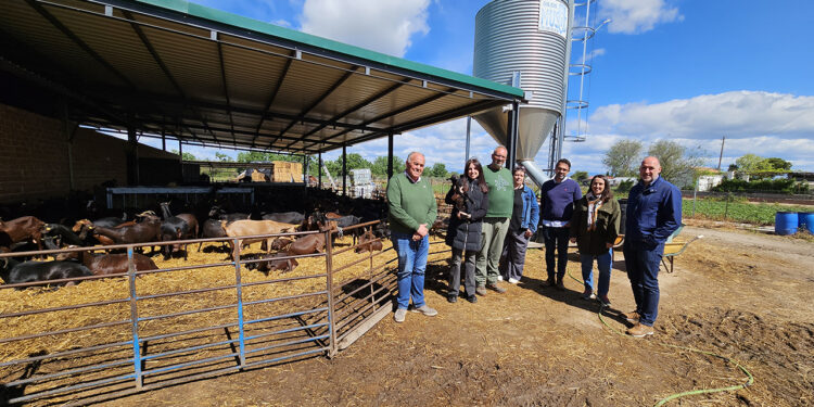 La Junta destaca el papel de la ganadería caprina en el desarrollo del medio rural, la fijación de población y la conservación del entorno